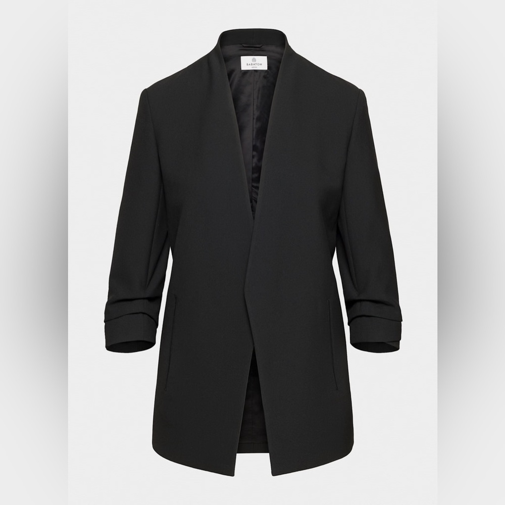Aritzia Babaton Power Blazer